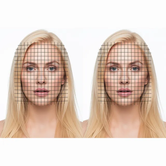 Cover Faces with a Grid