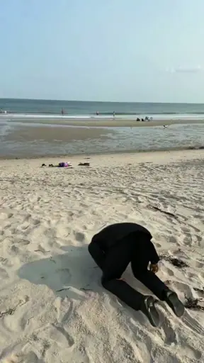 Splendid day at the beach — meme template